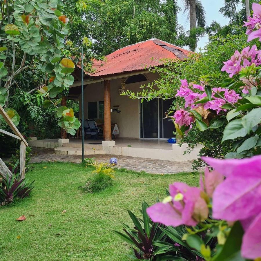 Villa Sonrisa Casa De Huespedes Las Terrenas Ngoại thất bức ảnh