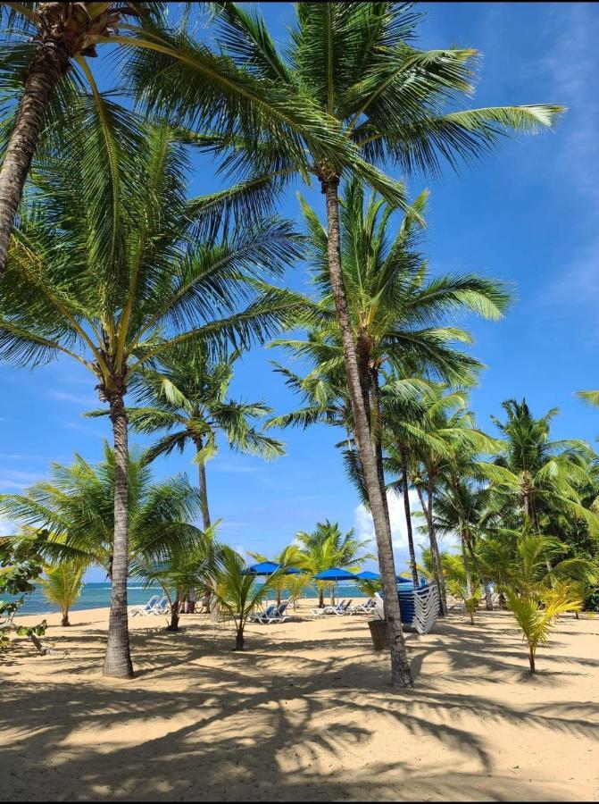 Villa Sonrisa Casa De Huespedes Las Terrenas Ngoại thất bức ảnh