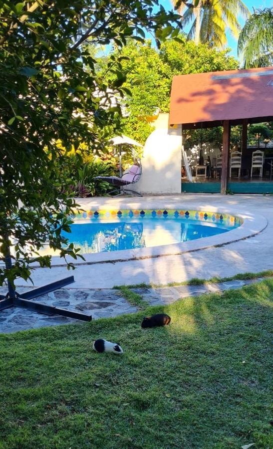 Villa Sonrisa Casa De Huespedes Las Terrenas Ngoại thất bức ảnh