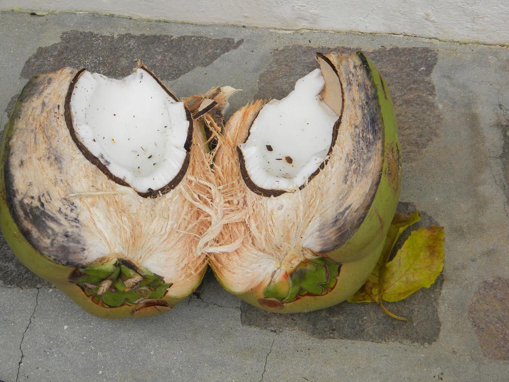 Villa Sonrisa Casa De Huespedes Las Terrenas Ngoại thất bức ảnh